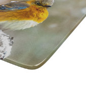 Eastern Bluebird in Snow - Original Foto Schneidebrett (Ecke)