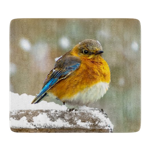 Eastern Bluebird in Snow - Original Foto Schneidebrett (Vorderseite)
