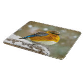 Eastern Bluebird in Snow - Original Foto Schneidebrett (Ecke)