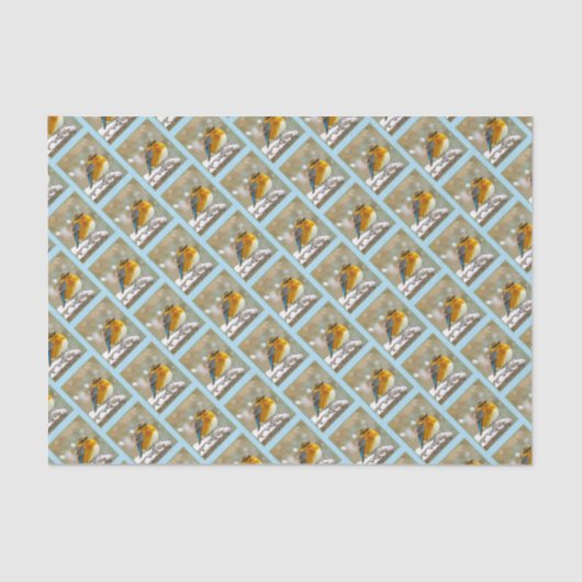 Eastern Bluebird in Snow - Original Foto Seidenpapier (Vorderseite)