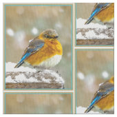 Eastern Bluebird in Snow - Original Foto Stoff (Nahaufnahme)