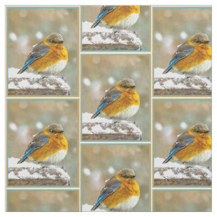 Eastern Bluebird in Snow - Original Foto Stoff