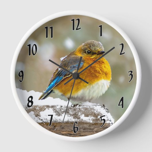 Eastern Bluebird in Snow - Original Foto Uhr (Vorderseite)