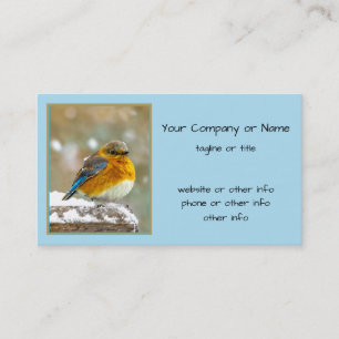 Eastern Bluebird in Snow - Original Foto Visitenkarte