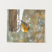 Eastern Bluebird in Snow - Original Foto Wandteppich (Vorderseite (Horizontal))