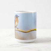 Eastern Bluebird Kaffeetasse (Mittel)