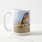 Eastern Bluebird Kaffeetasse (Links)