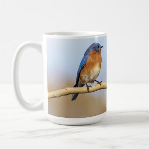 Eastern Bluebird Kaffeetasse