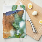 Eastern Bluebird Kitchen Handtuch Matthew 6:26 (Viertel Falte)
