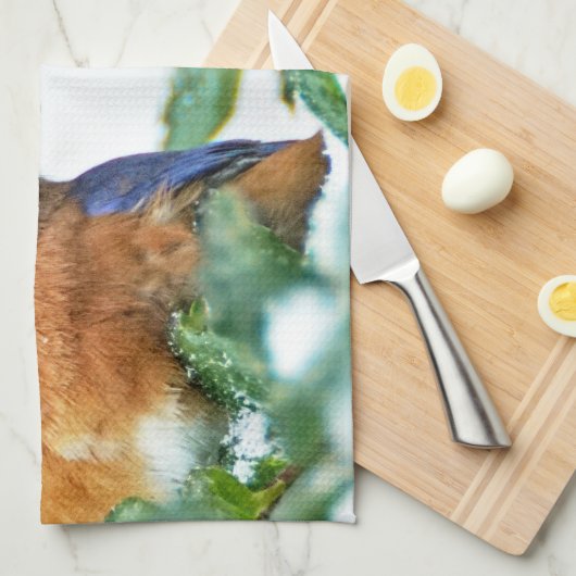 Eastern Bluebird Kitchen Handtuch Matthew 6:26 (Viertel Falte)