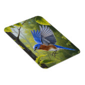 Eastern Bluebird Magnet (Rechte Seite)