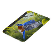 Eastern Bluebird Magnet (Linke Seite)