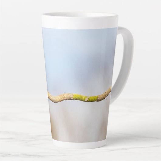 Eastern Bluebird Milchtasse (Rechte Ecke)