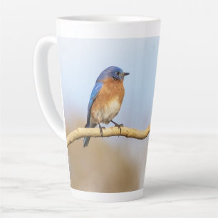 Eastern Bluebird Milchtasse