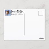 Eastern Bluebird Missouri Staat Bird Fotografy Postkarte (Rückseite)