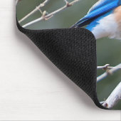 Eastern Bluebird Mousepad (Ecke)
