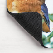 Eastern Bluebird Mousepad Matthew 6:26 (Ecke)