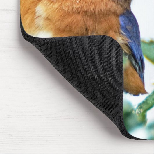 Eastern Bluebird Mousepad Matthew 6:26 (Ecke)