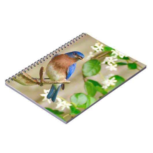 Eastern Bluebird Notebook-Spiralgeschenk Notizblock (Linke Seite)