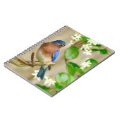 Eastern Bluebird Notebook-Spiralgeschenk Notizblock (Linke Seite)