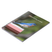 Eastern Bluebird Notizblock (Linke Seite)