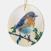 Eastern Bluebird Ornament (Links)