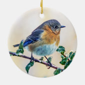 Eastern Bluebird Ornament (Hinten)