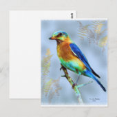 Eastern Bluebird...Postcard Postkarte (Vorne/Hinten)