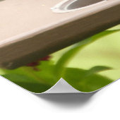 Eastern Bluebird Poster (Ecke)