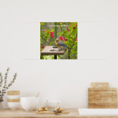 Eastern Bluebird Poster (Küche)