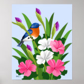 Eastern Bluebird Poster (Vorne)
