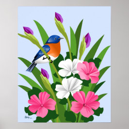 Eastern Bluebird Poster