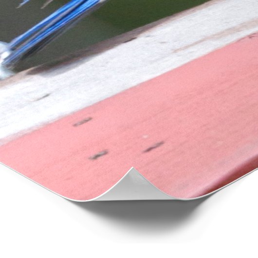 Eastern Bluebird Poster (Ecke)