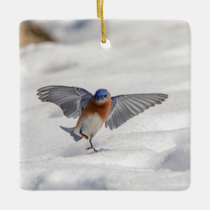 Eastern Bluebird tanzen im Schnee Keramikornament
