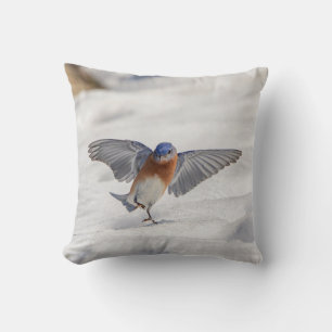 Eastern Bluebird tanzen im Schnee Kissen