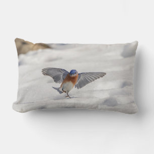 Eastern Bluebird tanzen im Schnee Lendenkissen