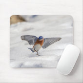 Eastern Bluebird tanzen im Schnee Mousepad (Mit Mouse)