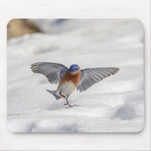Eastern Bluebird tanzen im Schnee Mousepad