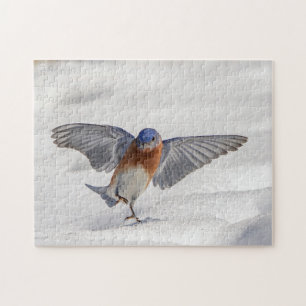 Eastern Bluebird tanzen im Schnee Puzzle