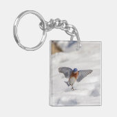 Eastern Bluebird tanzen im Schnee Schlüsselanhänger (Vorderseite links)