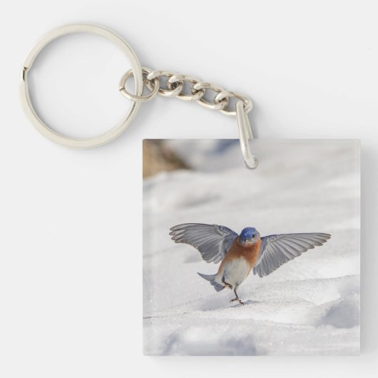 Eastern Bluebird tanzen im Schnee Schlüsselanhänger (Vorderseite)