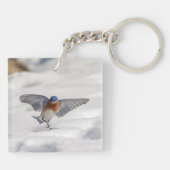 Eastern Bluebird tanzen im Schnee Schlüsselanhänger (Rückseite)