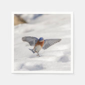 Eastern Bluebird tanzen im Schnee Serviette (Vorderseite)