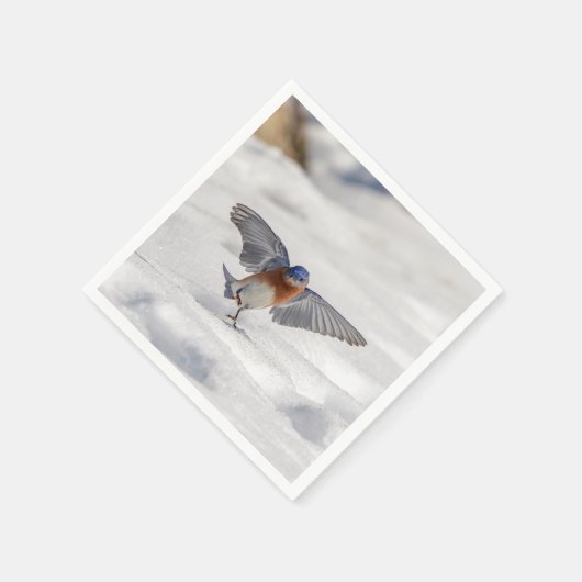 Eastern Bluebird tanzen im Schnee Serviette (Ecke)