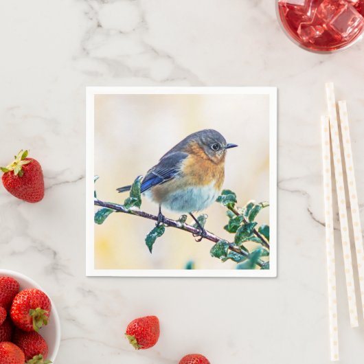 Eastern Bluebird über eisbedecktes Limb Papier Nap Serviette (Beispiel)
