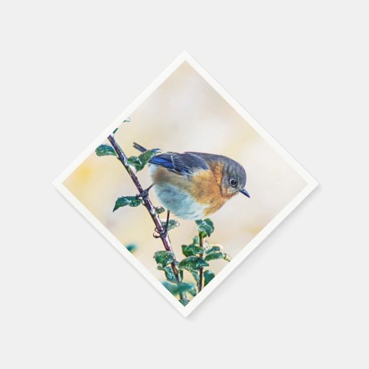 Eastern Bluebird über eisbedecktes Limb Papier Nap Serviette (Ecke)
