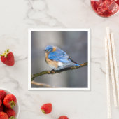 Eastern Bluebird über eisbedecktes Limb Papier Nap Serviette (Beispiel)