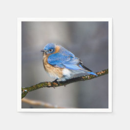 Eastern Bluebird über eisbedecktes Limb Papier Nap Serviette