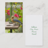 Eastern Bluebird Visitenkarte (Vorne/Hinten)