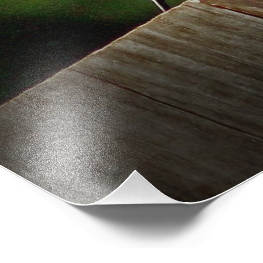 Eastern Bluebird Wall Decor Foto (Ecke)